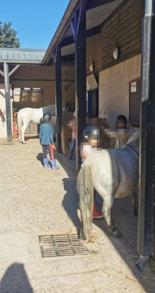 Poney Club UCPA de Montigny le Bretonneux - photo 3