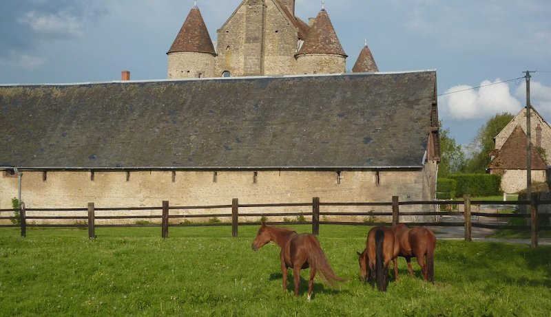 Haras de Beuvreuil - photo 2