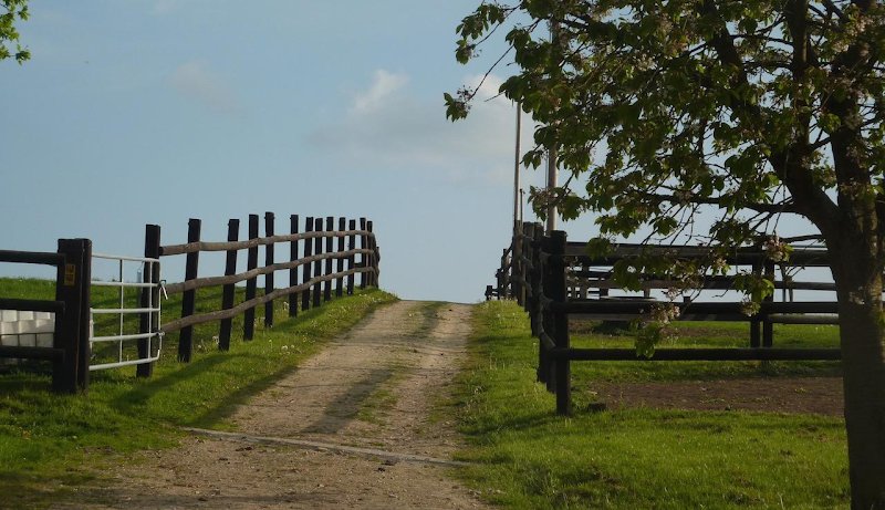 Haras de Beuvreuil - photo 3