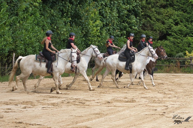 Centre équestre Alisa - photo 2