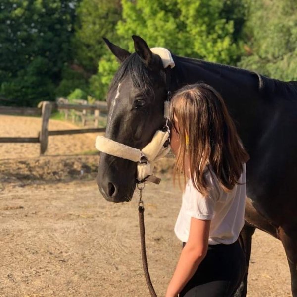 Centre équestre Alisa - photo 3