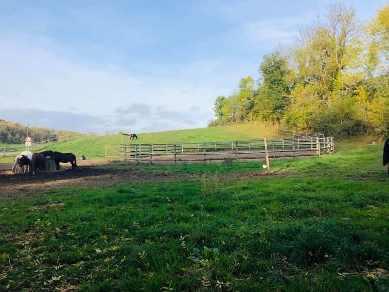 Ecurie de Muret-et-Crouttes - photo 3