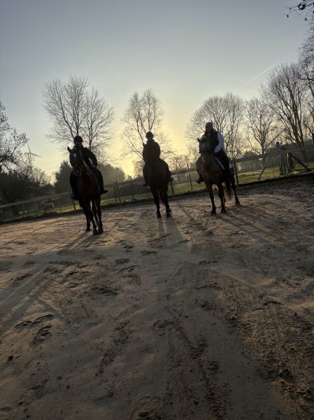 Écurie Horse & Family - photo 2