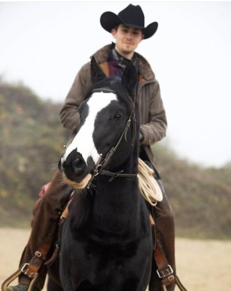 Haras des Bois de Brie