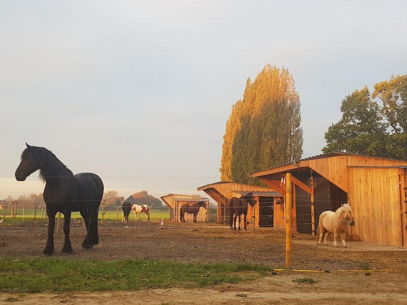 Les Écuries de la Marliere - photo 3