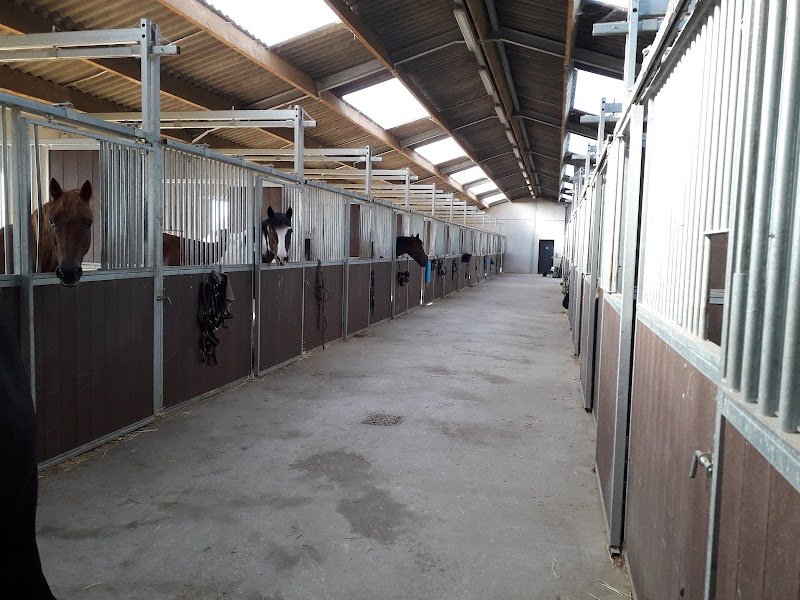 Écurie de Vertain - photo 2