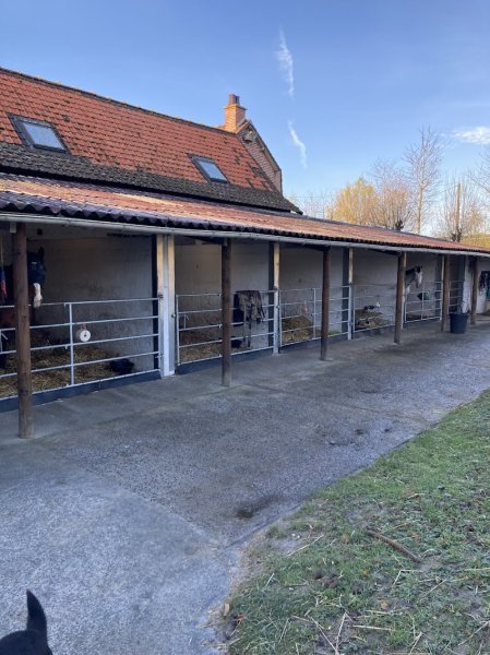 Les écuries d'Ennetières - Mylène DECROIX - photo 1