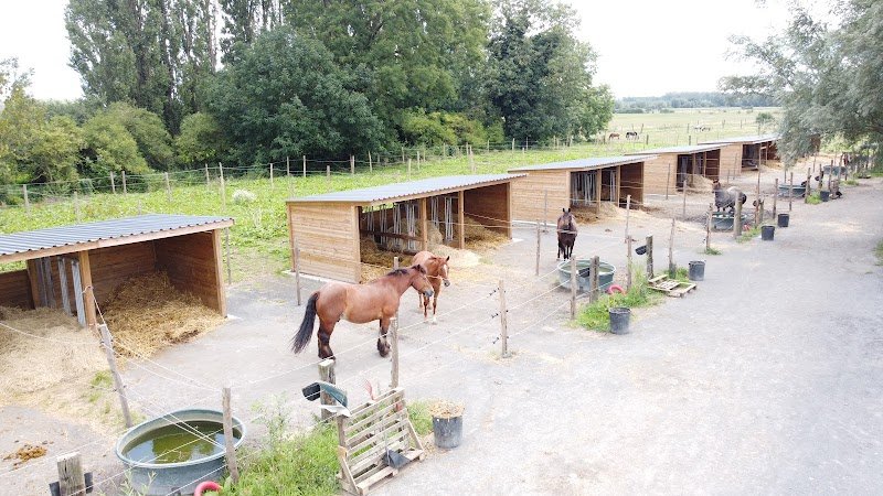 Les Écuries des 4 Terres - photo 1