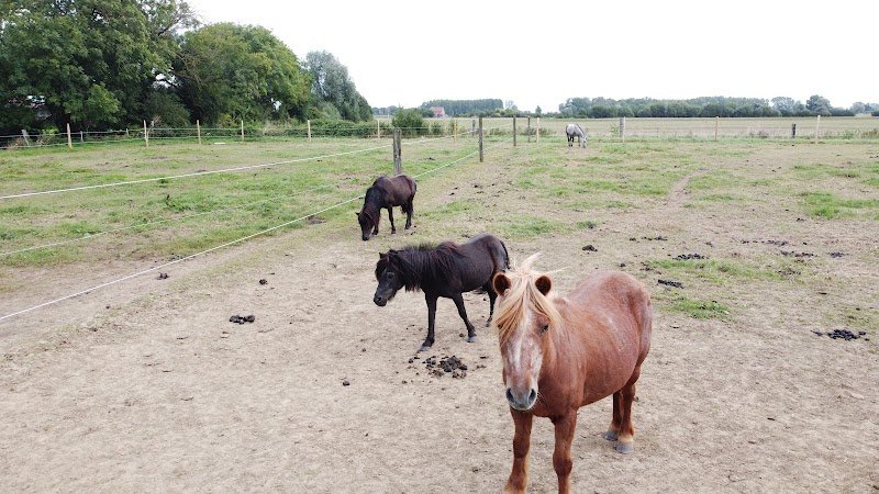 Les Écuries des 4 Terres - photo 3