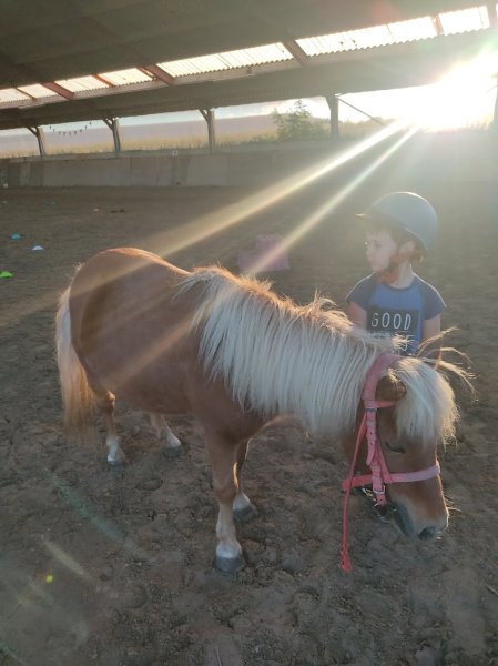 Les Écuries des Muriers