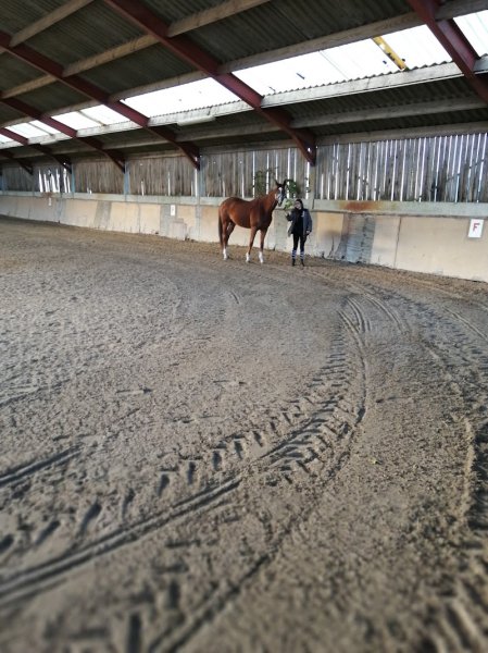 Les Écuries des Muriers - photo 2