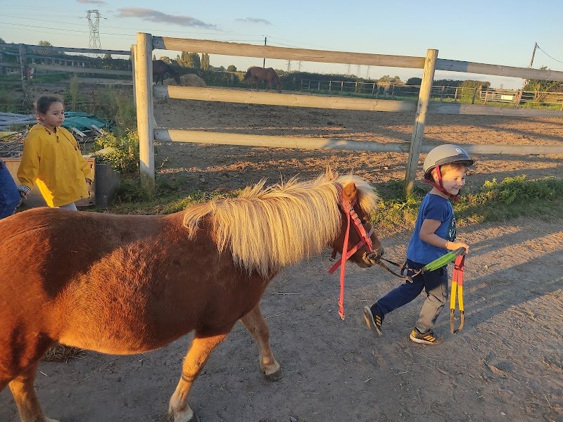Les Écuries des Muriers - photo 3