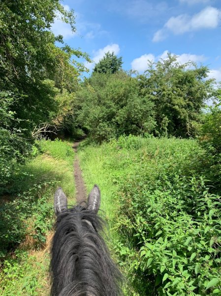 Ecuries Du Brusle - photo 2