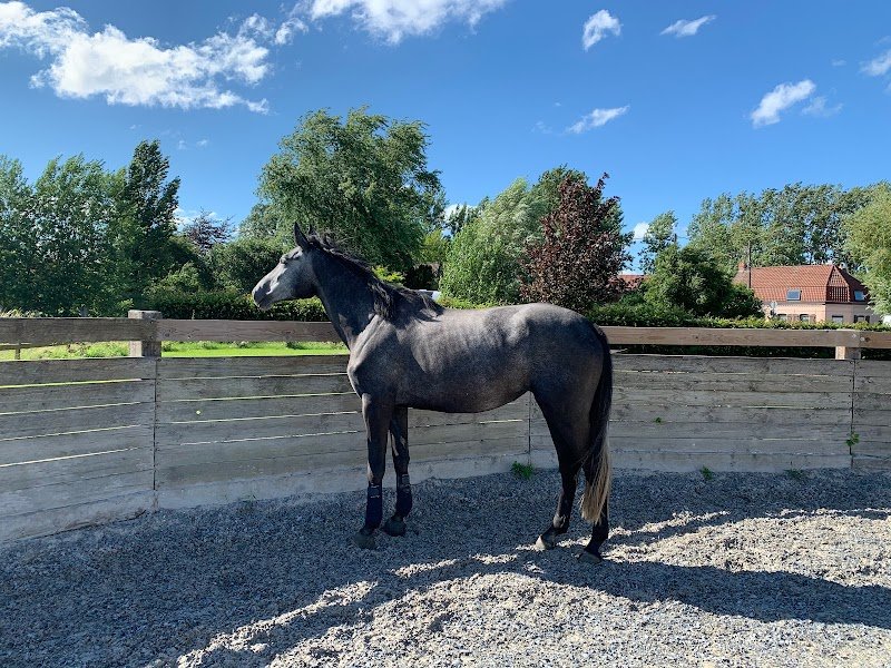 Ecuries Du Brusle - photo 3