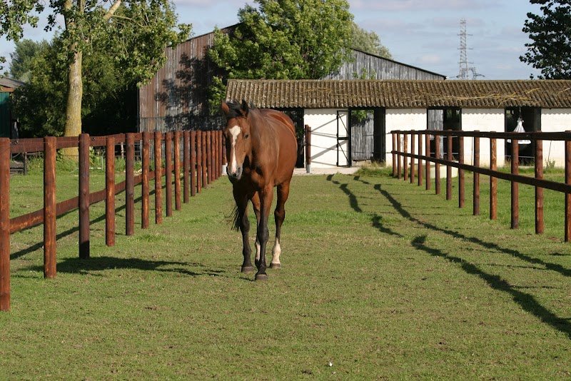 Écuries EQUI’LIBRE - photo 1