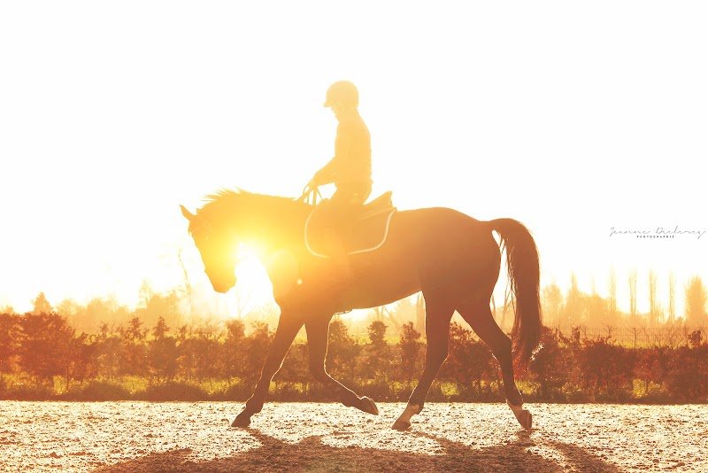 Écurie Nicolas Pertusa - photo 2