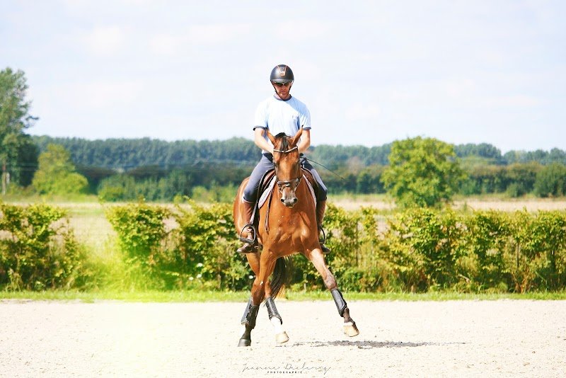 Écurie Nicolas Pertusa - photo 3