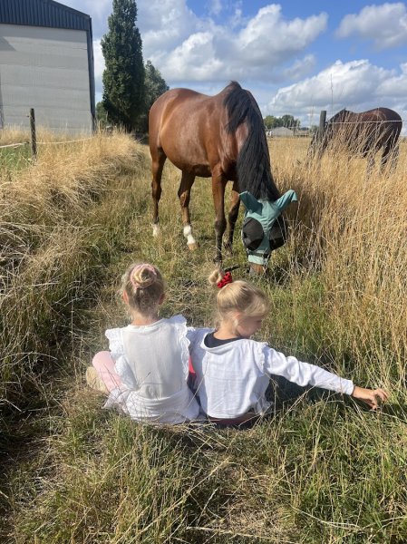 Haras Des Bles D'or - photo 3