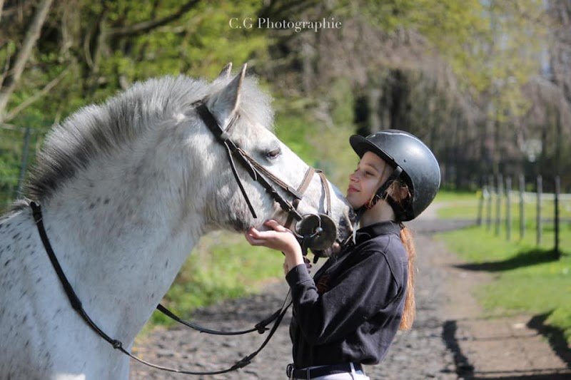 Centre Equestre Le Comte - photo 1