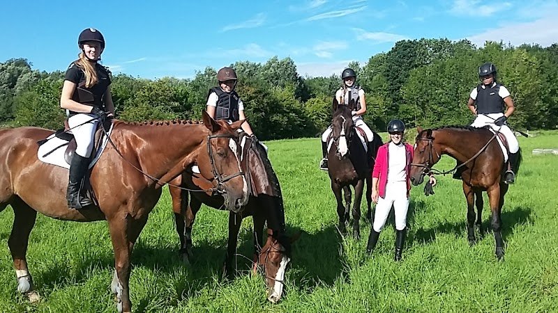 Centre Equestre Le Comte - photo 3