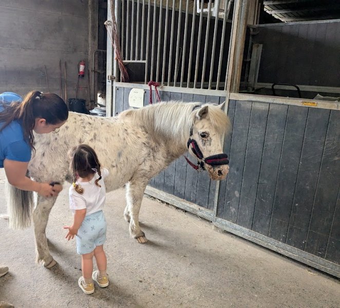 Ferme équestre de l'Autour - photo 1