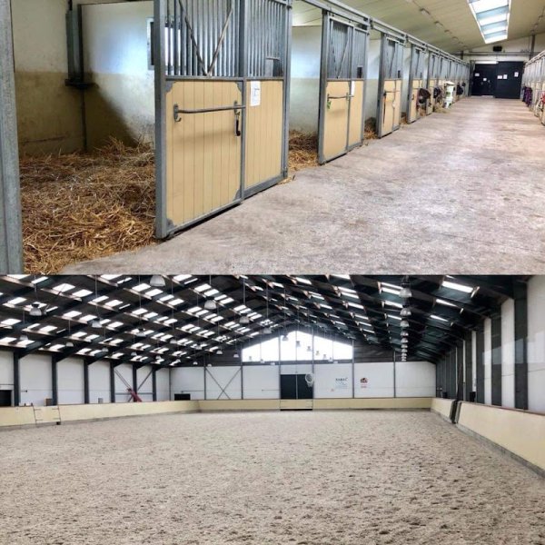 Haras de Jusin - Dunkerque