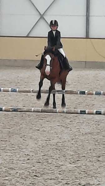 Haras de Jusin - Dunkerque - photo 3