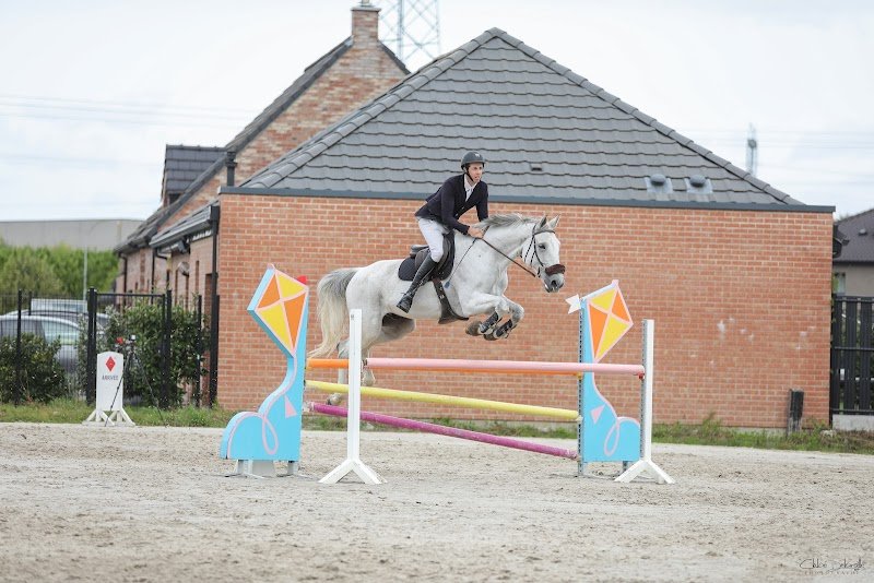 Écuries du Destin Lefebure - photo 3