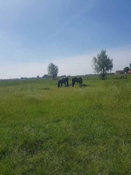 LA PENSION DU CHEMIN BLANC - photo 1