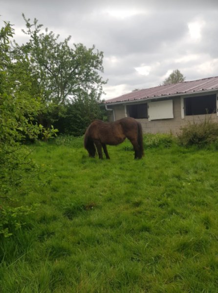 LA PENSION DU CHEMIN BLANC - photo 2