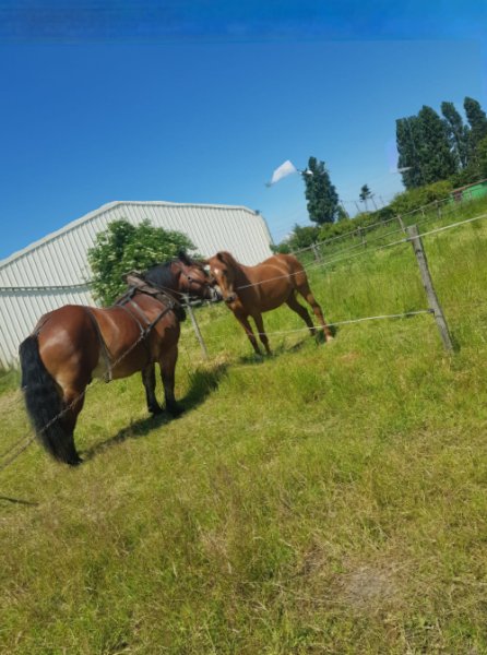 LA PENSION DU CHEMIN BLANC - photo 3