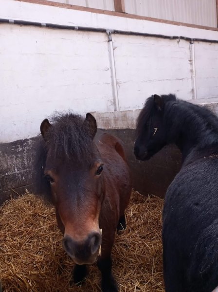 Ecurie de la Colme - photo 2
