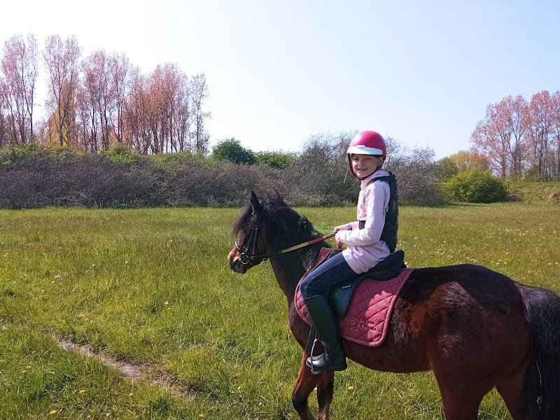 Les Écuries du Prédembourg - photo 2