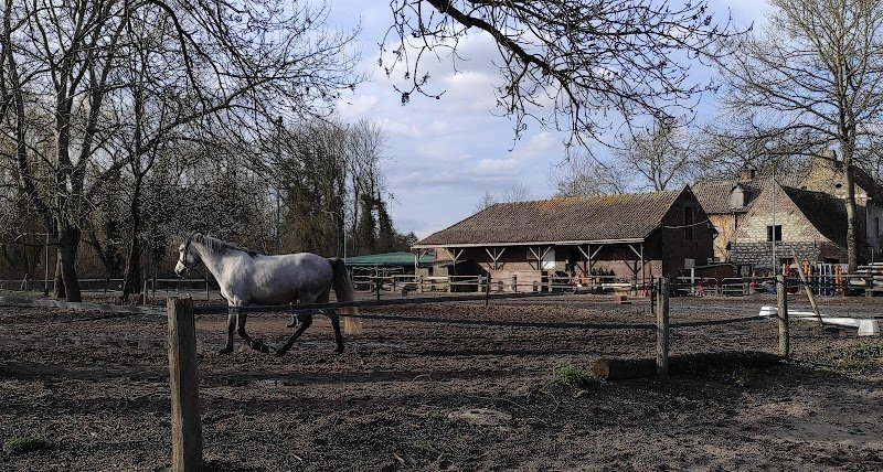 Poney Club Villeneuve d'Ascq