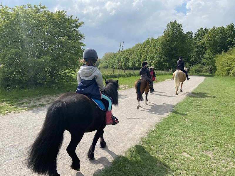 Ludo Poney - photo 1