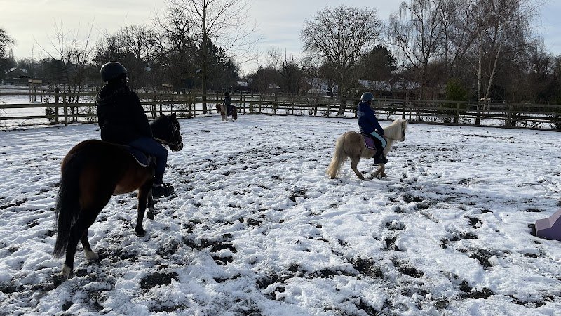 Ludo Poney - photo 2