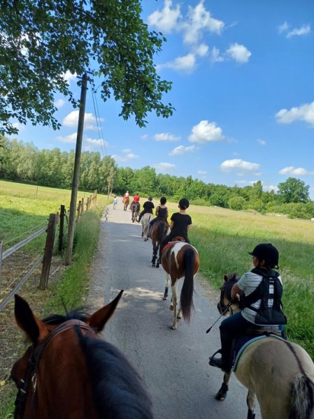Ecuries Stéphanie Charlet - photo 3