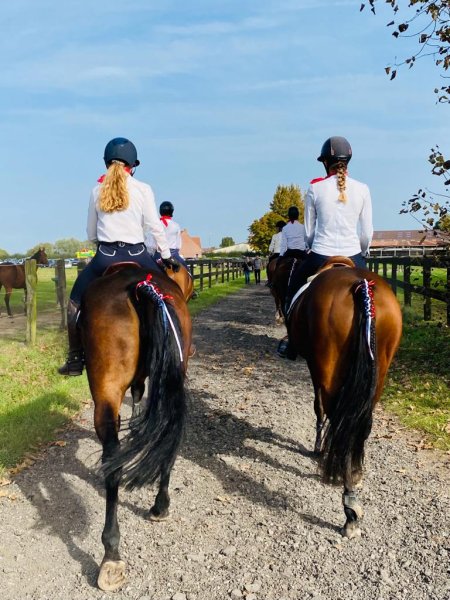 Ecuries des Tourelles - photo 3