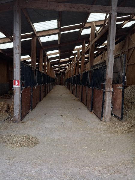 Centre équestre du marais - photo 2