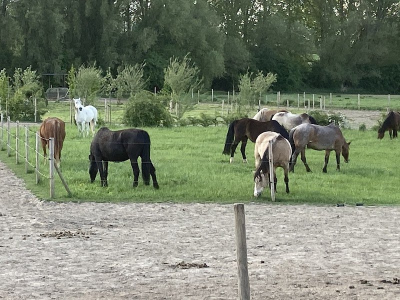 EQUI-libre Paddock Paradise des Hauts-Pays - photo 3