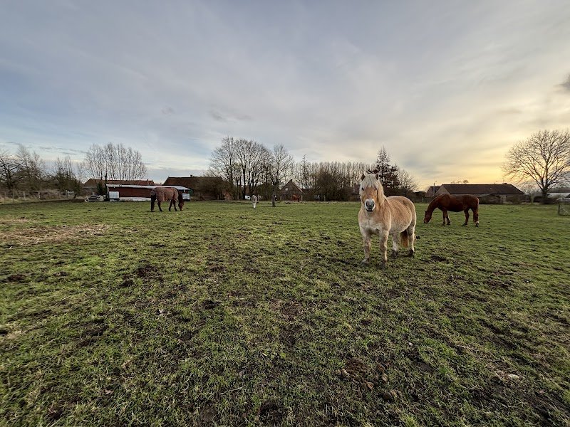 Ecurie Du Marais - photo 1