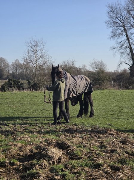 Ecurie Du Marais - photo 3