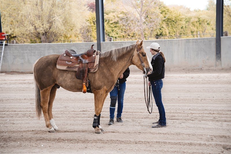 Ecuries des Bleugnies - photo 1