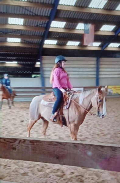 Ecuries des Bleugnies - photo 2