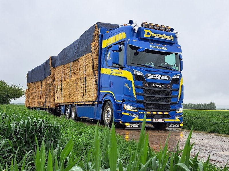 Club Equestre - photo 1