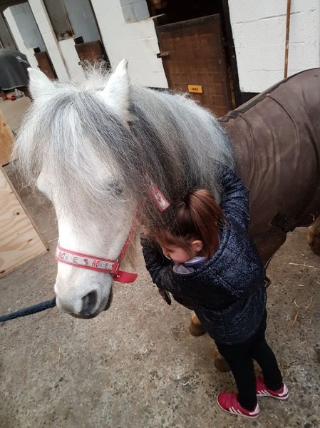 Club Equestre - photo 2