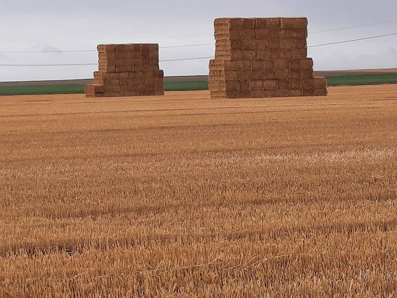 Club Equestre - photo 3