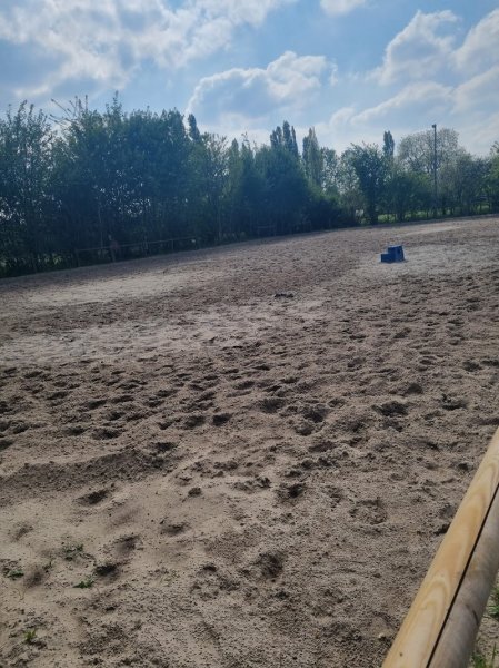 Ecurie Flersoise - photo 2