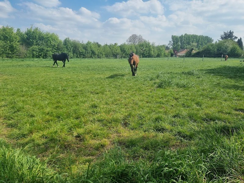 Ecurie Flersoise - photo 3