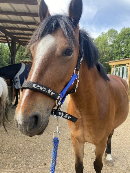 Les Ecuries de La Tuilerie